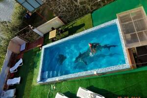 Изображение Дача «Сафари» #3