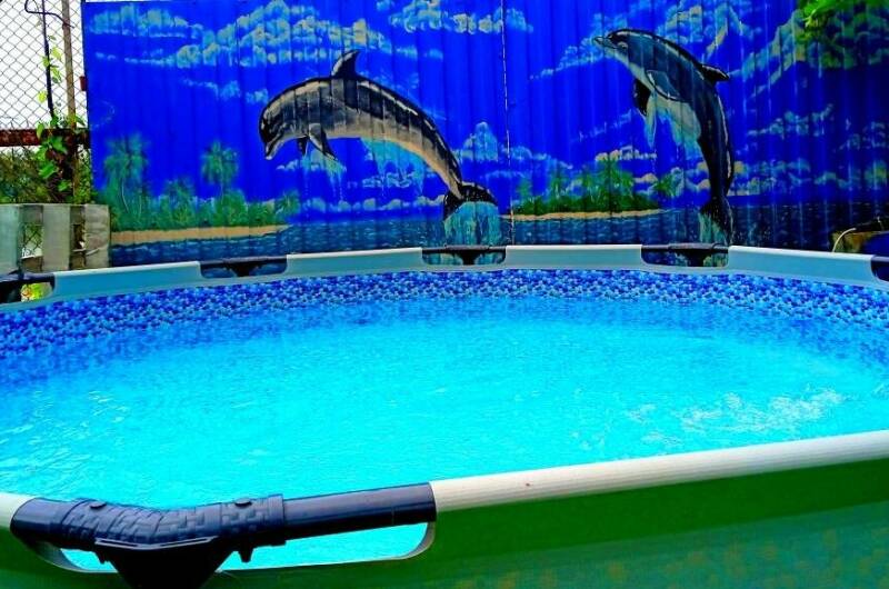 Дача «Сафари»