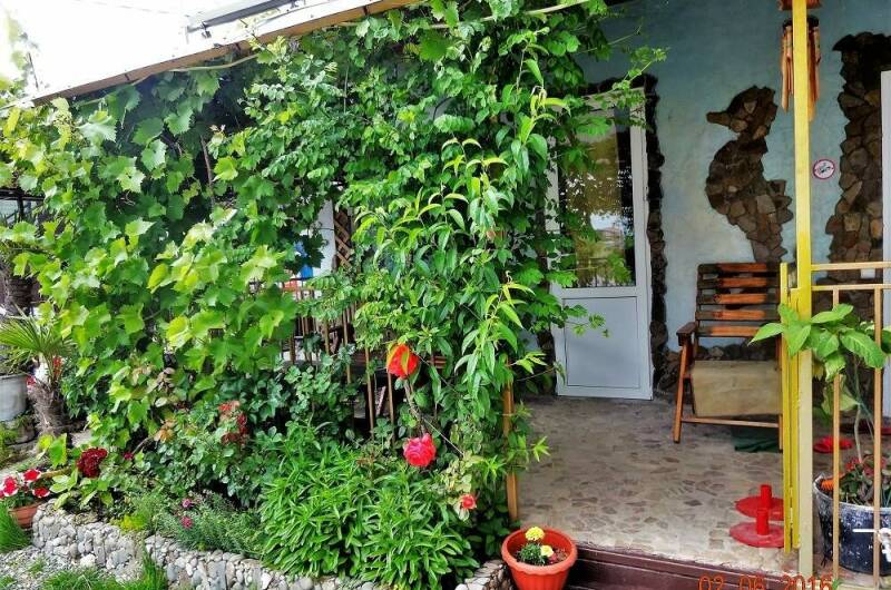 Дача «Сафари»