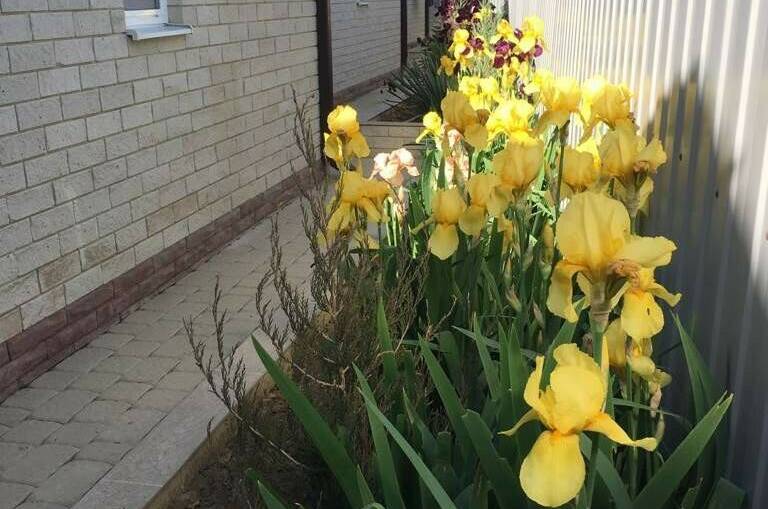Гостевые домики на Октябрьской