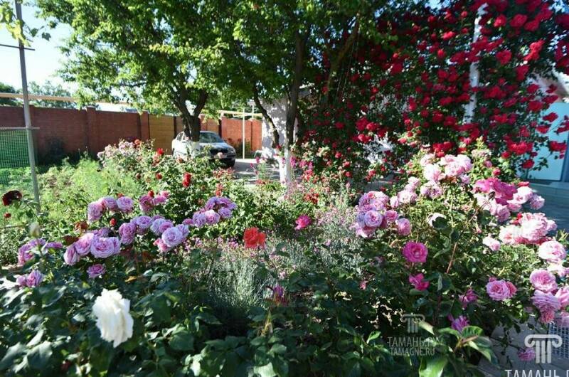 Гостевой дом «Людмила»