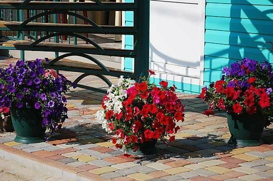 Гостевой дом «Чайка»