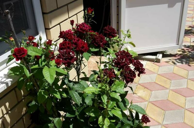 Гостевой дом «Наташа»