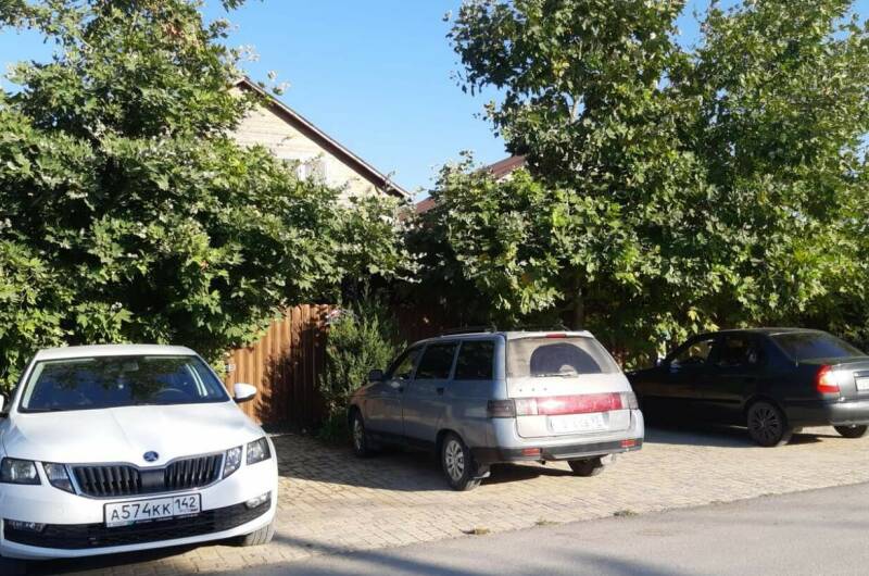 Дом «Три медведя»