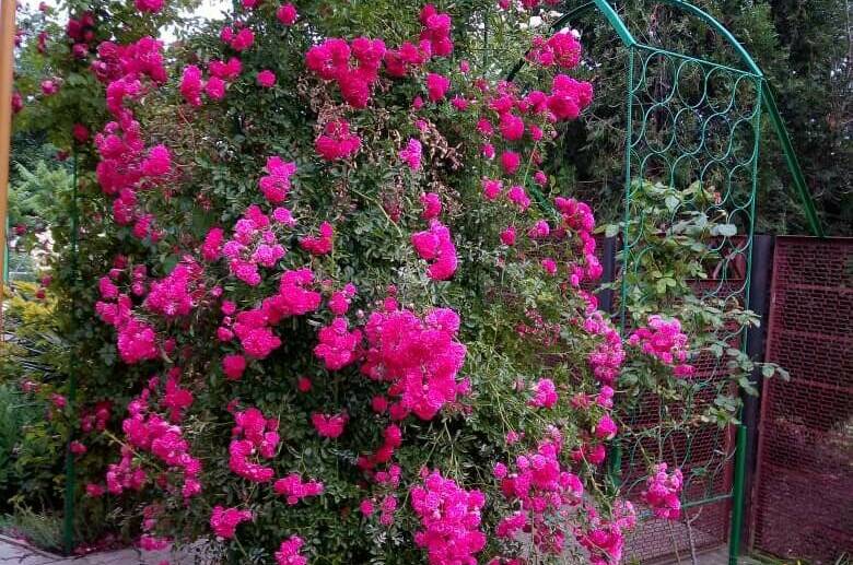 Частный дом «Вита»