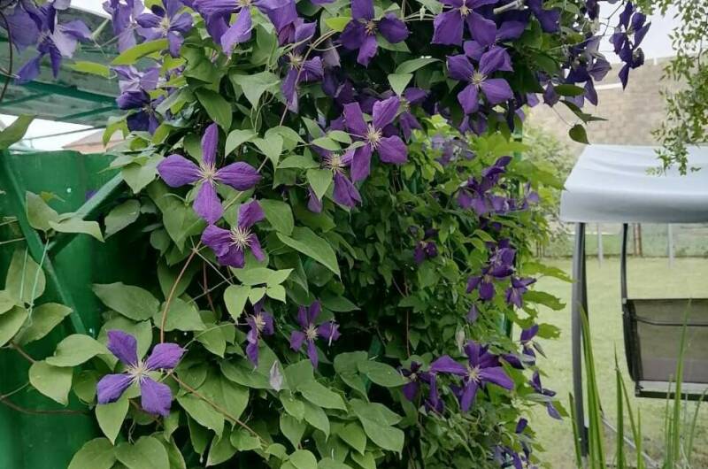 Частный дом «Вита»