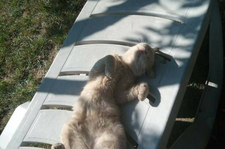 Частный дом «Вита»