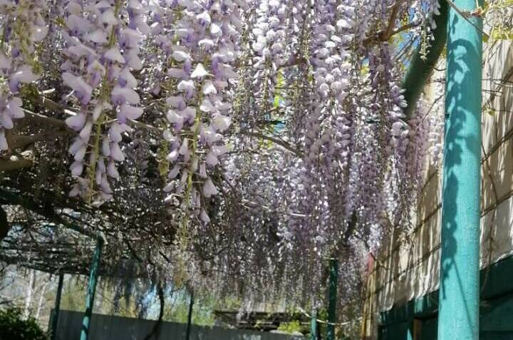 Частный дом «Вита»