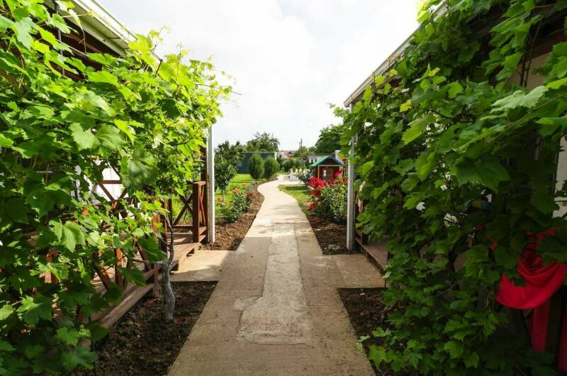 Гостевой дом «Юг»