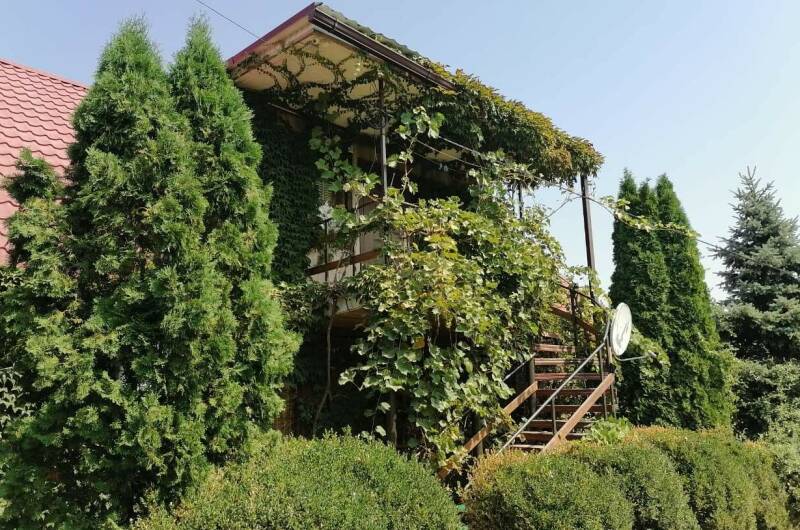 Гостевой дом «Под соснами»