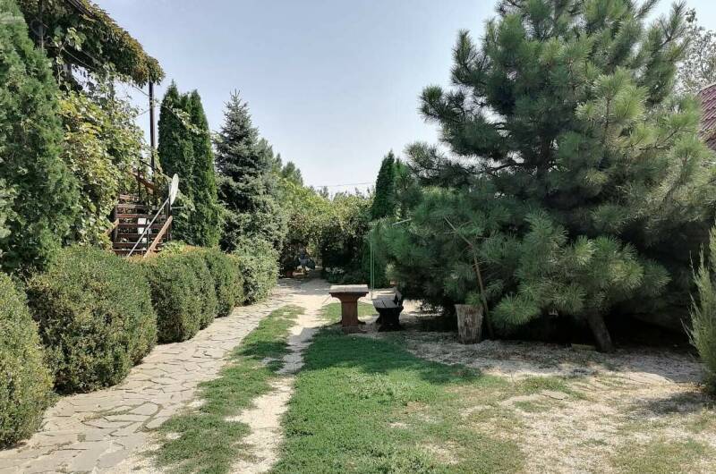 Гостевой дом «Под соснами»