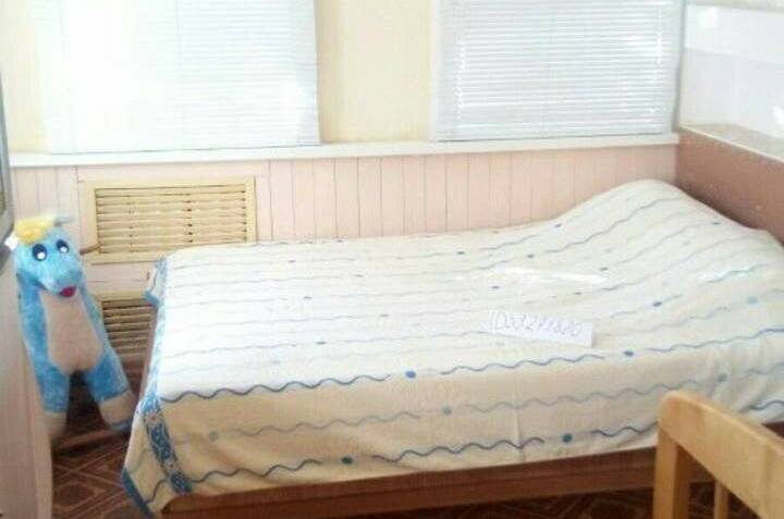 Домик под ключ «Мой дом»