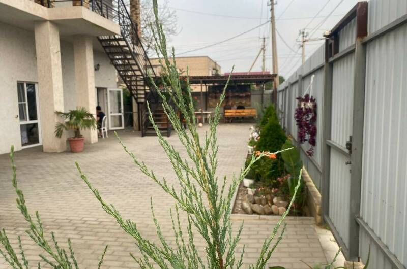 Частный сектор «Ирис»