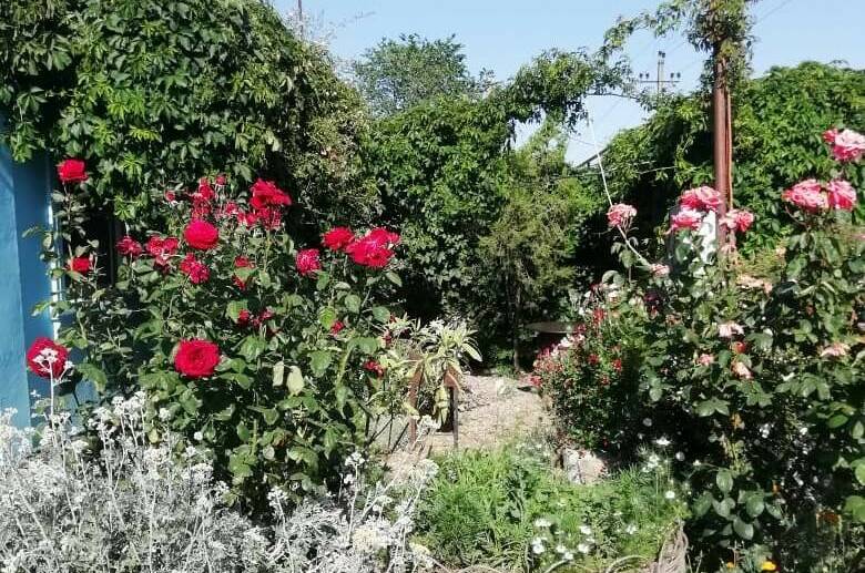 Дом под ключ «У Пелагеи»