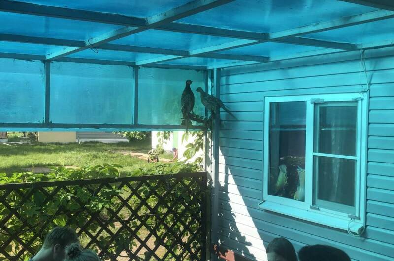 Гостевой дом «Азовский дворик»