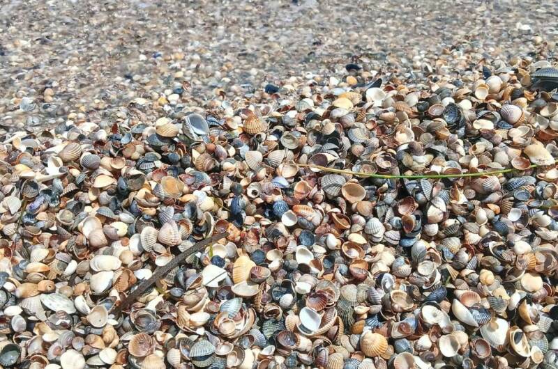 Дом под ключ «Дача у моря»