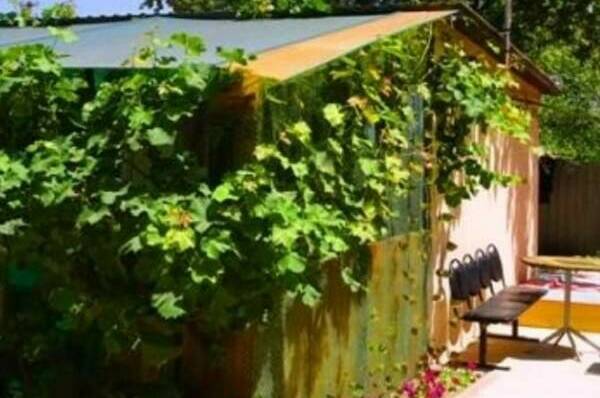 Гостевой дом «Камелия»