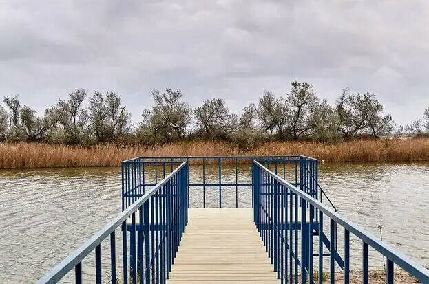 База отдыха «Ботаники»