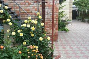 Изображение Дом под ключ до 5 человек #4