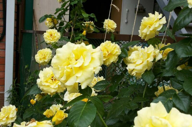 Дом под ключ до 5 человек