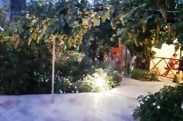 Гостевой дом «Африка»