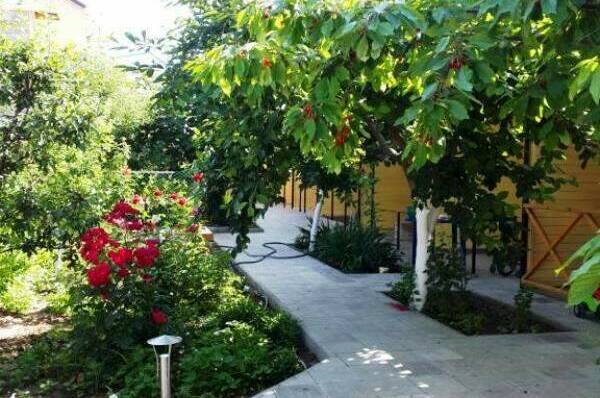 Гостевой дом «Африка»