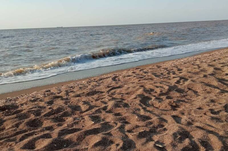 Квартира-студия у моря