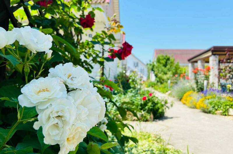 Гостевой дом «АнастаSea»