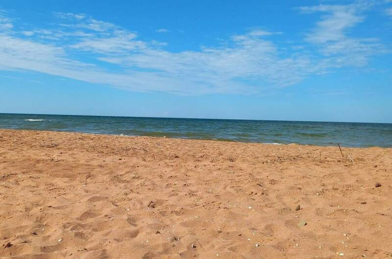 Дом под ключ «Пальма»