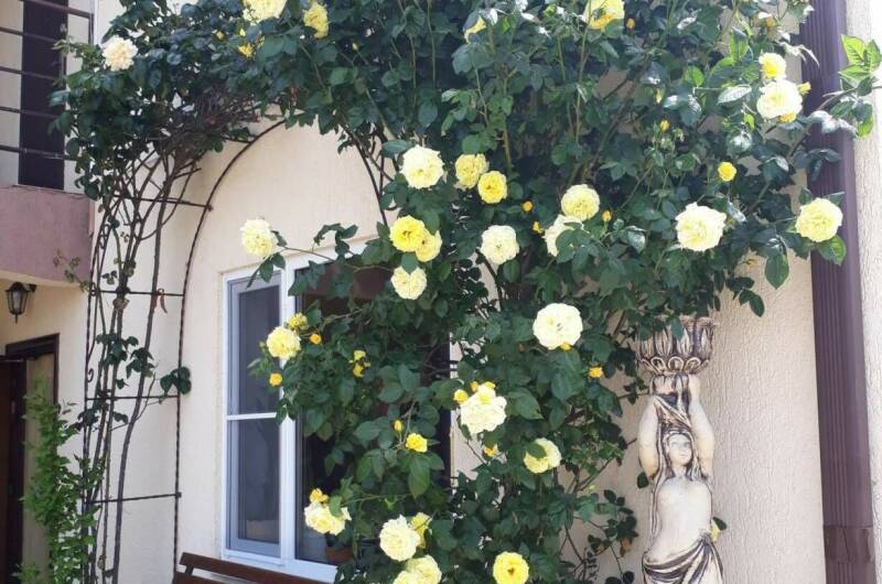 Частный дом на Жемчужной