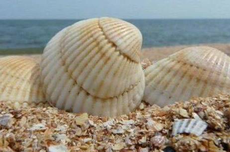 Гостевой дом «Елена»