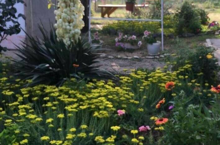 Гостевой дом «Елена»