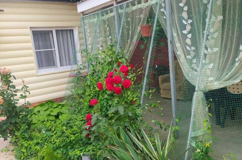 Домики «У Любови»