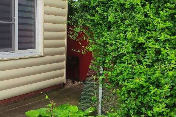 Домики «У Любови»