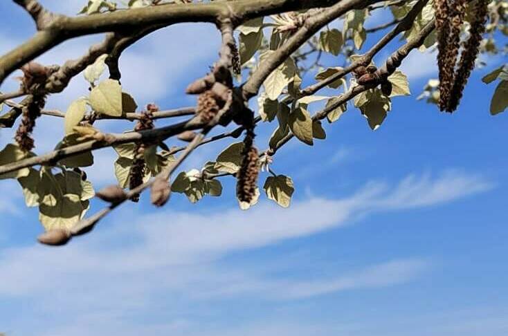 Мини-гостиница в Ейске