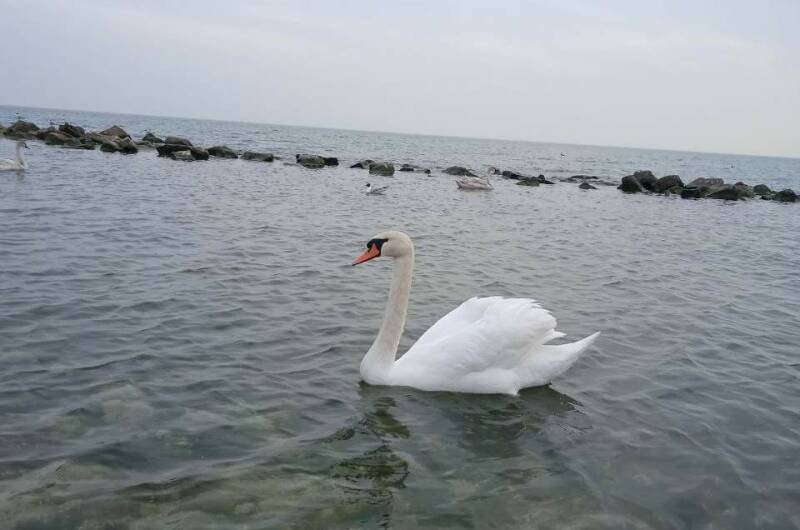 Дом у моря под ключ